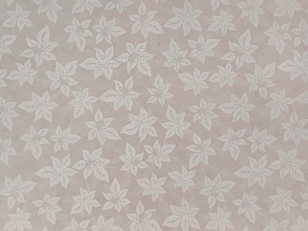 Nepaali paber 51x76cm Lalupate White on White