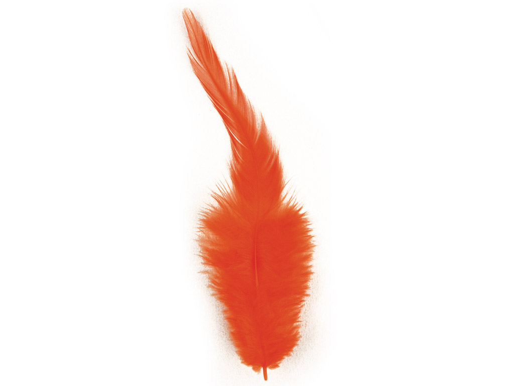 Dekoratīvās spalvas Rayher Trendy 10-15cm 2g oranža