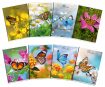 Exercise book Pigna Maxi Butterflies A4 squared 50 sheets