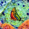 Akvarelinis pieštukas Derwent Inktense metalinė dėžutė - 6/6